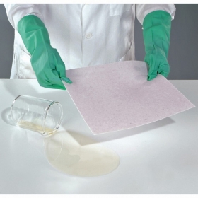 413-78222472542008617-PLRE241_15